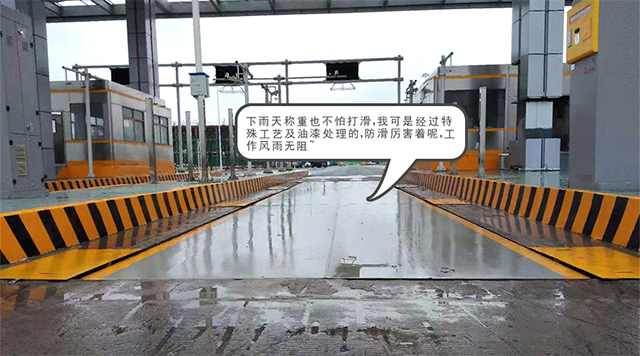 2019 (36).jpg 2019 (36).jpg